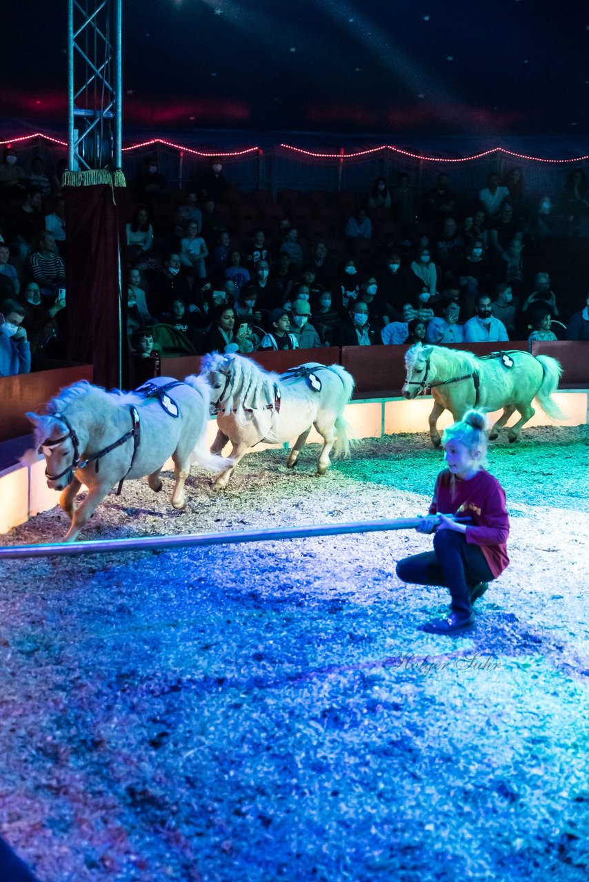 Bild 380 - Zirkus Europa